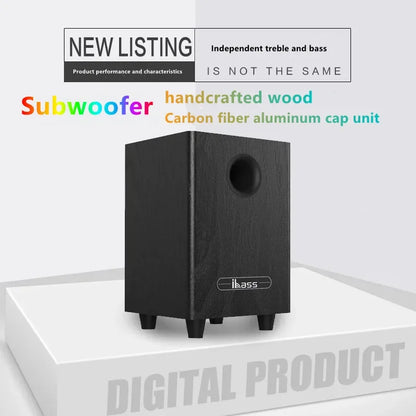 100W High Power 6.5″ Passive Subwoofer Speaker System