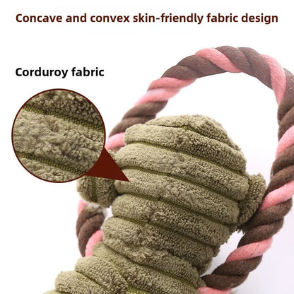 Interactive Play Time