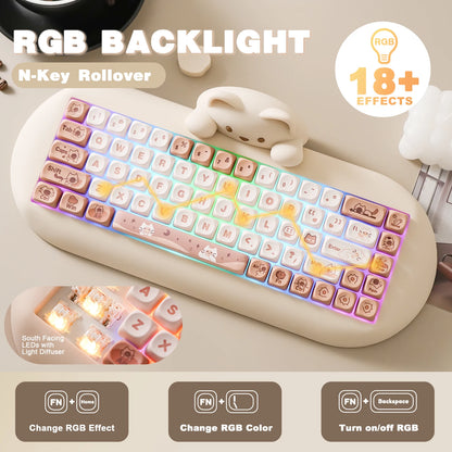 CatAura RGB Keyboard
