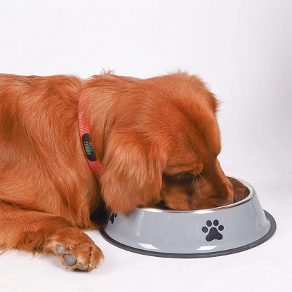 Anti-Slip Stainless Steel Pet Bowl