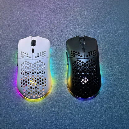 HXSJ T66 3-mode 10000DPI gaming wireless mouse RGB luminous 650mAh rechargeable 6 buttons macro programmable mice for pc desktop