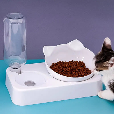 Tilted Pet Food & Water Bowl 🐶🐱🍽️