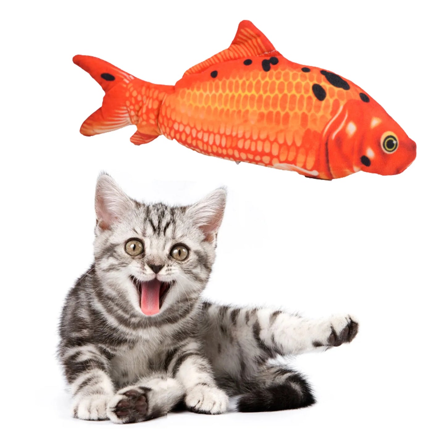 Electric Fish Cat Toy.