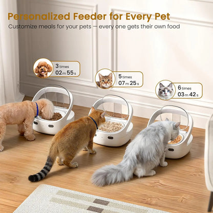 RFID collar activates cat feeder, multi cat intelligent automatic chip feeder, supports wet and dry food,prevents pinch injuries