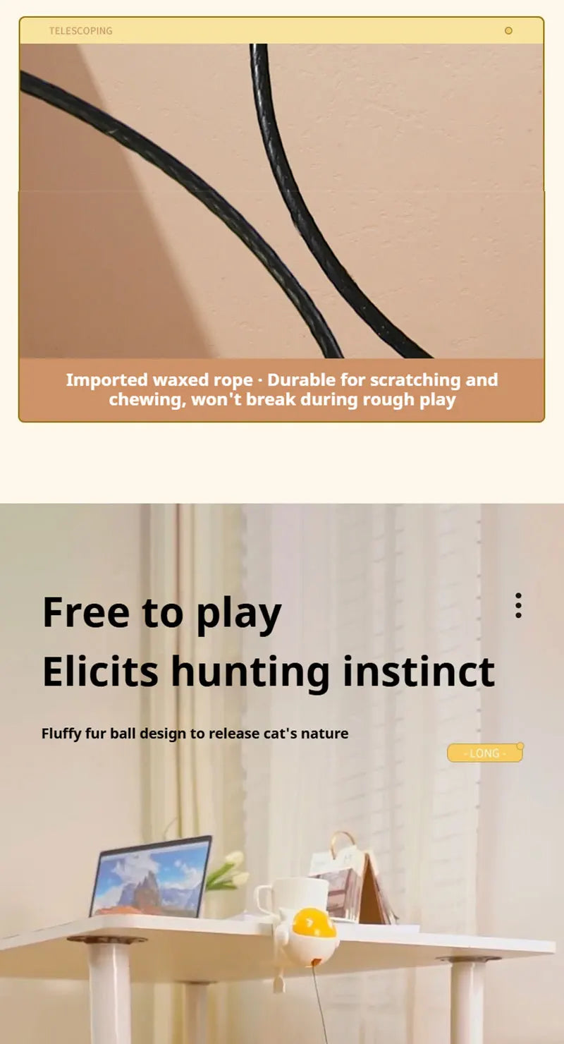 Electric Cat Ball Toy.