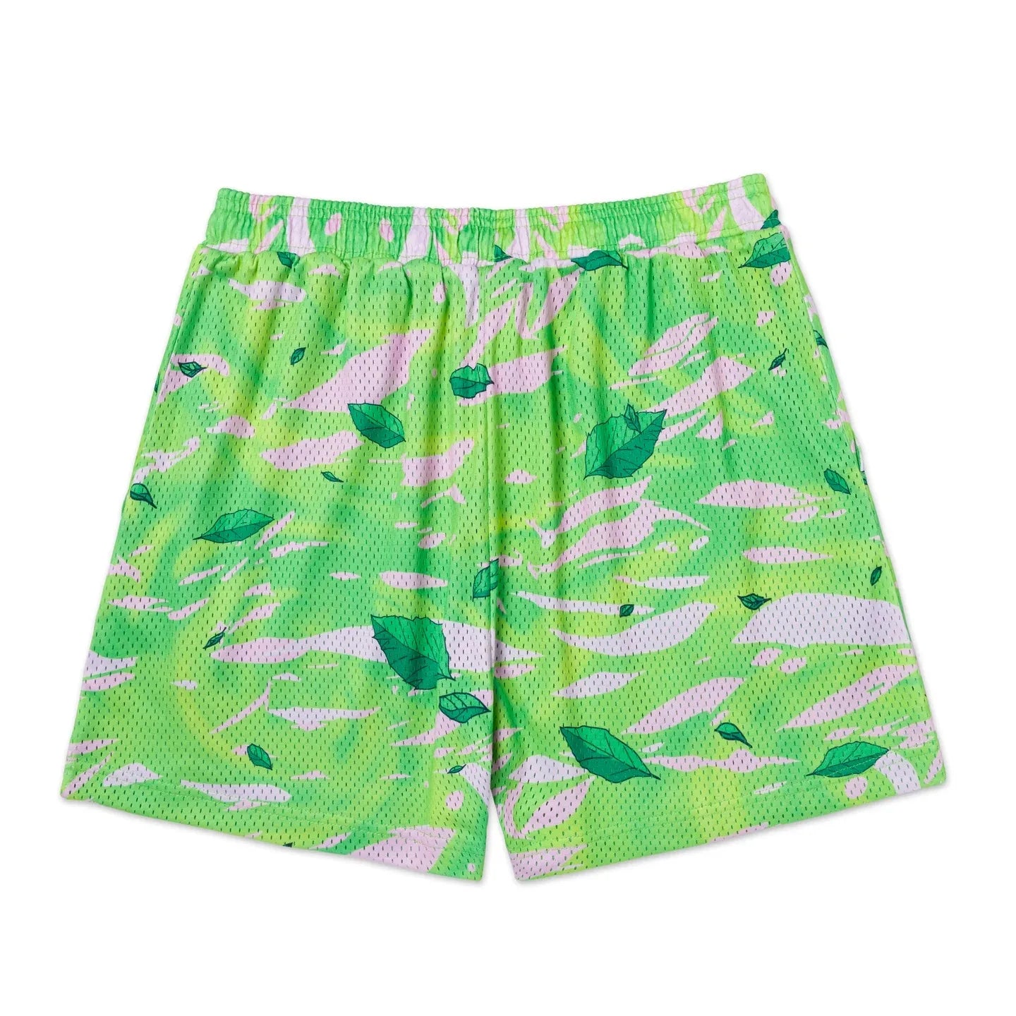 Bandai Pokemon World Periphery Pocket Monster Gym Shorts Adult Kids 3D Printed Shorts Summer Quick-dry Lightweight Beach Shorts