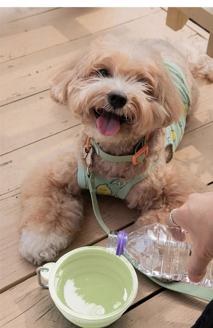 Portable Folding Pet Travel Bowl