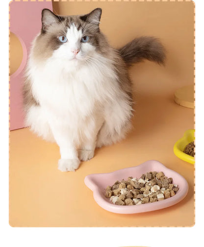 Premium Anti-Black-Nose Cat Food Bowl 🐱🍽️