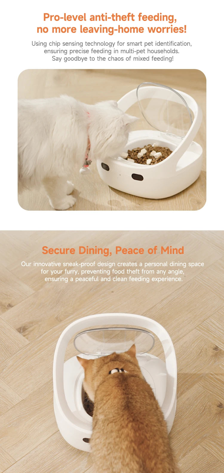 RFID collar activates cat feeder, multi cat intelligent automatic chip feeder, supports wet and dry food,prevents pinch injuries