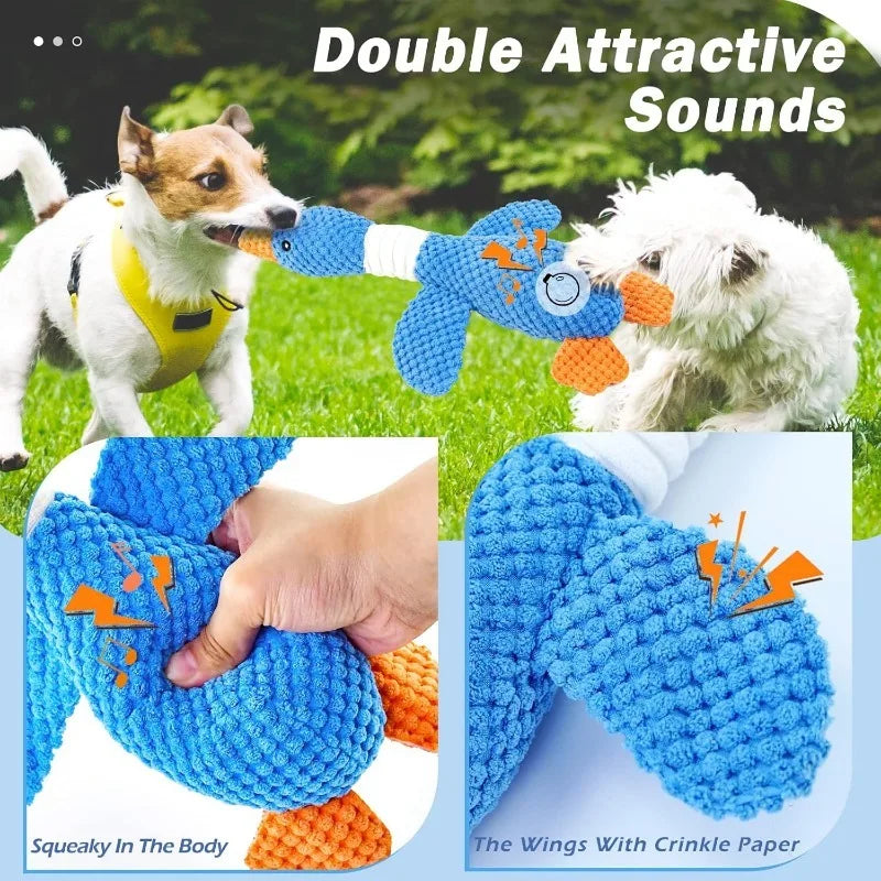 Active Play Toy