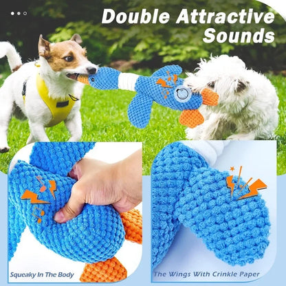 Active Play Toy