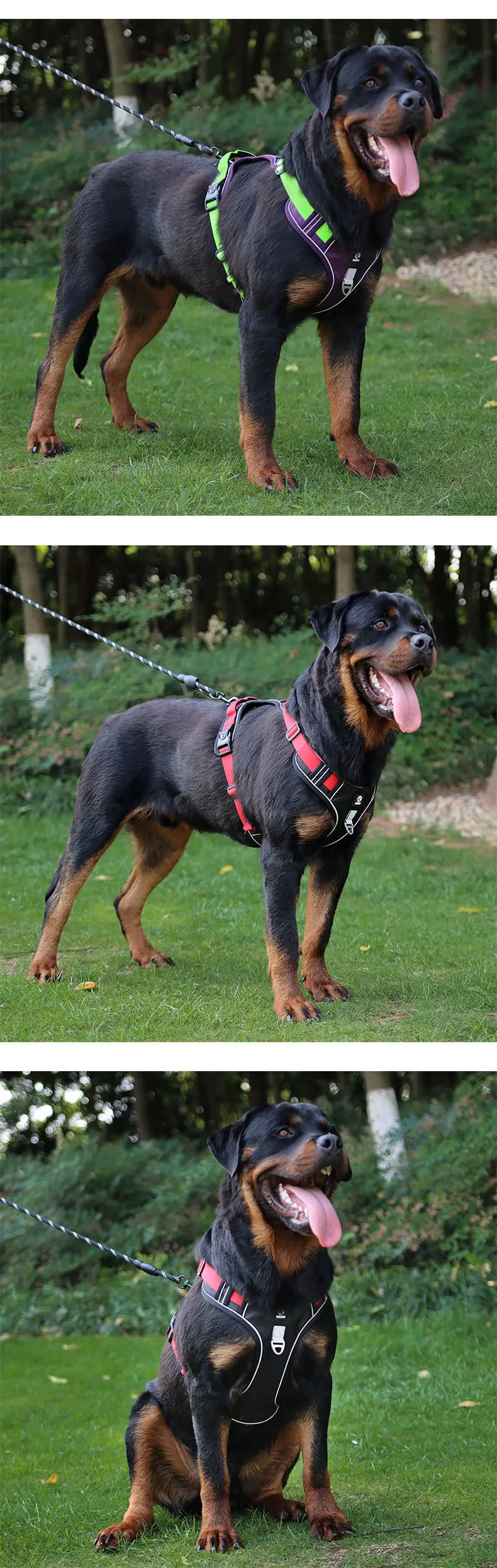 Anti-Pull Reflective Dog Harness with Multi-Point Adjustment No Pull Pet Vest for Pet Dogs Chew Proof and Durable