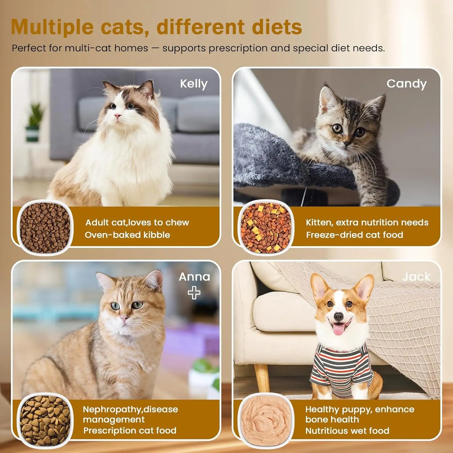 RFID collar activates cat feeder, multi cat intelligent automatic chip feeder, supports wet and dry food,prevents pinch injuries