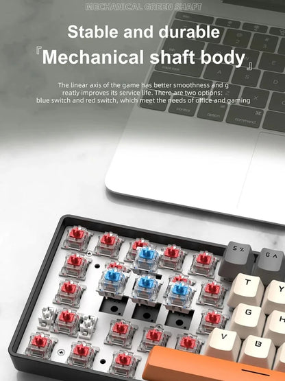 APAYADO K61 Wired Mechanical Keyboard - 60% Compact (61 Keys), RGB Backlit, Portable Design, Phantom Switches, for Gaming